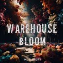 Alan De Laniere - Clean Your House (Salade Tomate Mix)