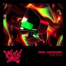 Joel Anthony - Dreams (Radio Edit)