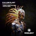 Callum Plant - Crimson Lure (Original Mix)