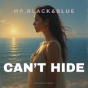 Mr. Black & Blue - Can\'t Hide (Radio Edit)