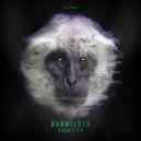 Dubwilder - Them Socks