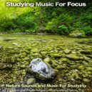 Concentration Music For Work & Studying Music For Focus & Working Music Experience - Background Study Music ()