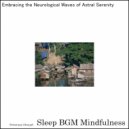 Sleep BGM Mindfulness - Guiding the Spirit with Neurological Resonance