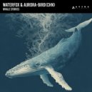 WaterFox & Aurora-bird (CHN) - Whale Stories (Original Mix)