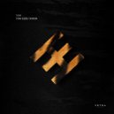 Tayron, TONI SIZER - Tiger (Extended Mix)