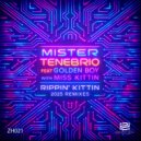 Mister Tenebrio feat. Golden Boy With Miss Kittin - Rippin' Kittin