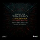 Mister Tenebrio feat. Golden Boy With Miss Kittin - Rippin\' Kittin 2026 (Mister Tenebrio Mix)