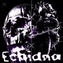 Cursed Void - echidna ()