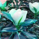 Bogendorfer - Wilde Magnolie (Original Mix)