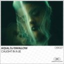 AQUA (KR) & DJ Swallow - Caught In A Lie