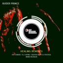 Buder Prince - Healing (Deeper Beats & Veesoul Remix)