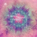 Cosmos Sounds Project - Welcome To Magic (Original Mix)