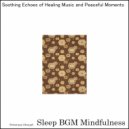 Sleep BGM Mindfulness - Echoing Tranquility, Night's Gift for Restorative Sleep