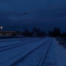 FIYD - DARK FOREST ()