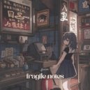 flxrian - fragile notes ()