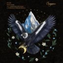 PAAX (Tulum) - Who Das (Extended Mix)