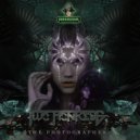 Two Monkeys - Temazcalli ()