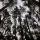 lak1povsky & XEROVICHEL - the dreamy wind ()