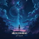 vanio... & dazepark - slowmotion ()