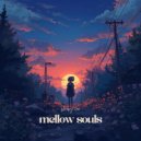 sleepy leo - mellow souls ()