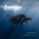 ARIV3 - Rapture (Extended Mix)