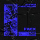 FAEX - System Overloaded
