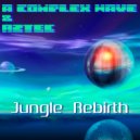 A Complex Wave & Aztec - Spyro ()