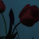 Exos - Tunis (Original Mix)