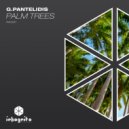 G.Pantelidis, Inkognito Records - Palm Trees (Original Mix)