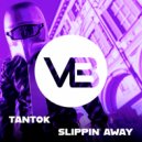 Tantok - Slippin\' Away (Extended Mix)