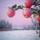 Vanderli - Apples on the Snow G Progressi