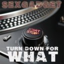 Sexgadget - Turn Down For What (Party Mix)