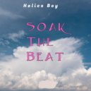 Holics Boy - Soak The Beat ()