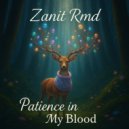 Zanit Rmd - Patience In My Blood ()