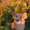 Captain Smooth & Twingrilla - Waste Away The Day (feat. Twingrilla) ()