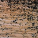 Juan Evangelista & Autonoe - Desierto en Llamas (Original Mix)