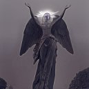 CAROLINA RIPER - human error ()