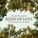 Nico de Transilvania feat. Elle Osborne - Seeds of Love