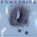 Perfect Weather for Humans - Bowerbird