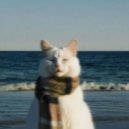 QKGR, Bùi Quang Khánh - Lost in the Glow (Original Mix)