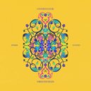 Mitekiss & Counter Culture - Forgotten Fields (Original Mix)