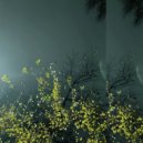 meyzzer - так и будет ()