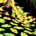 Matheiu - Acid Viewer (Original Mix)