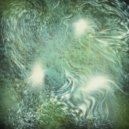 Grass Mirror - Kehena