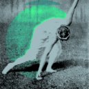 Grass Mirror - Rhizome