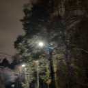 lak1povsky & XEROVICHEL - night forest ()