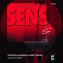 Envotion, Alexey Sonar, ANUQRA - Common Sense (Extended Mix)