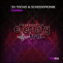 DJ Tocho, Schizoofr3nik - Express