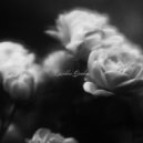 Revsun - Hidden Garden ()