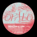 Gruwski & David Herrlich - Beautiful Life (Original Mix)